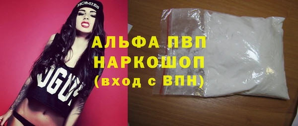 прущие грибы Аркадак