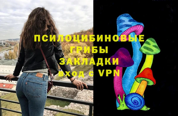 дживик Арсеньев