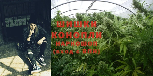 дживик Арсеньев