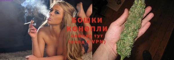 прущие грибы Аркадак