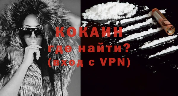 прущие грибы Аркадак