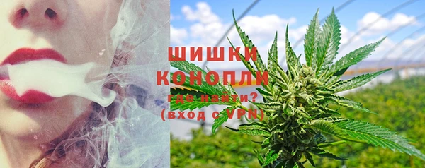 прущие грибы Аркадак