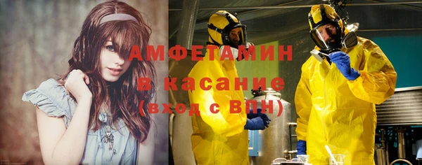 прущие грибы Аркадак