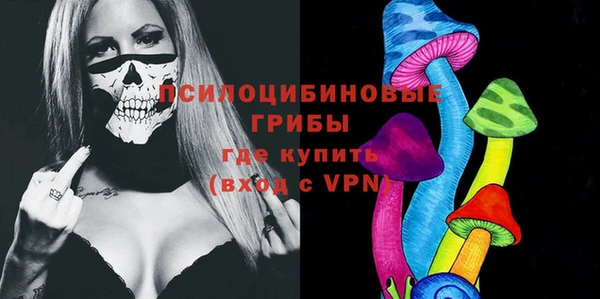дживик Арсеньев