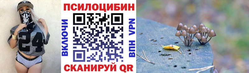 купить наркотик  Себеж  Галлюциногенные грибы ЛСД 